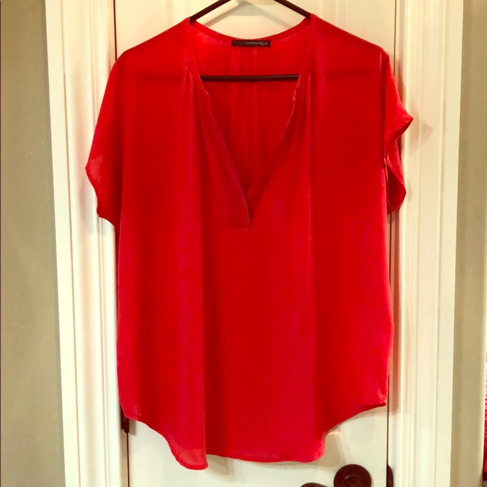 Sheer Blouse